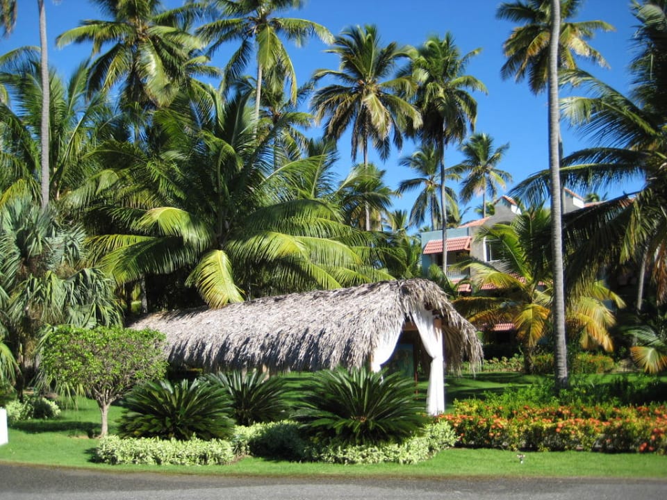 Gartenanlage TRS Turquesa Hotel - Adults only