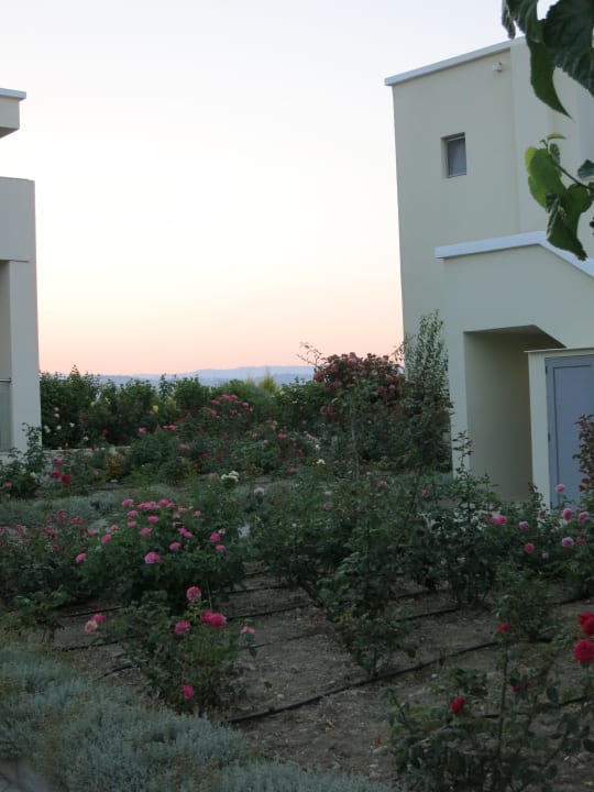 Ordentliche, gut gepflegte Gartenanlage SENTIDO Port Royal Villas & Spa