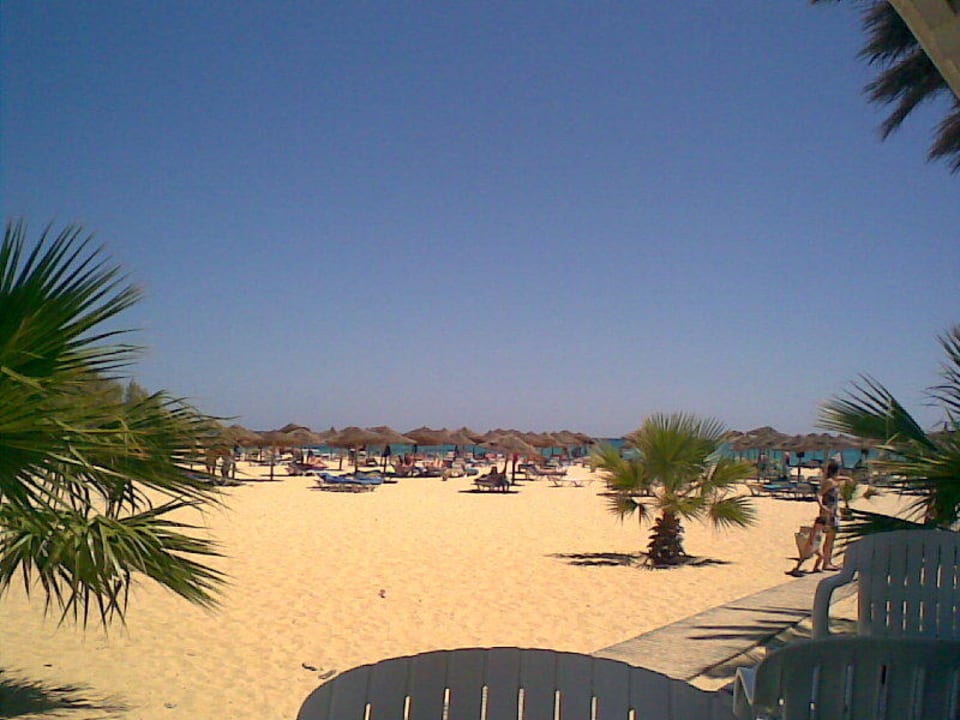 Strand Sentido Phenicia