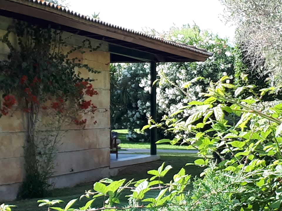 Gartenanlage PortBlue Club Pollentia Resort & Spa