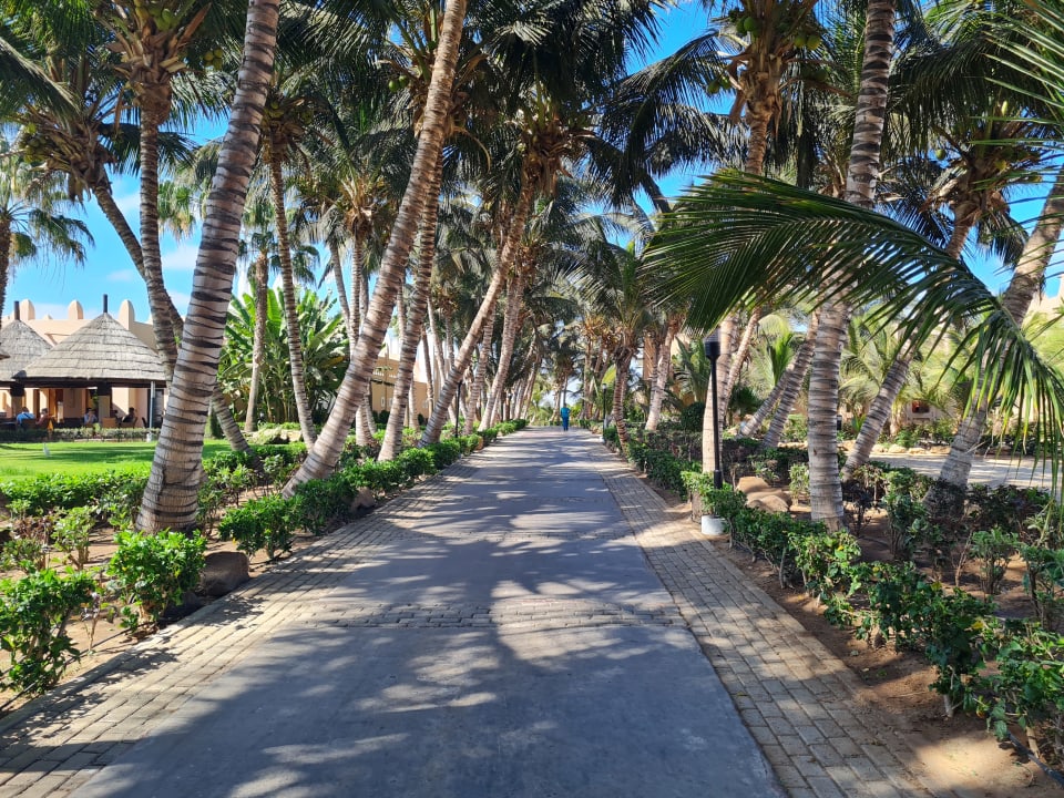 Gartenanlage Hotel Riu Funana