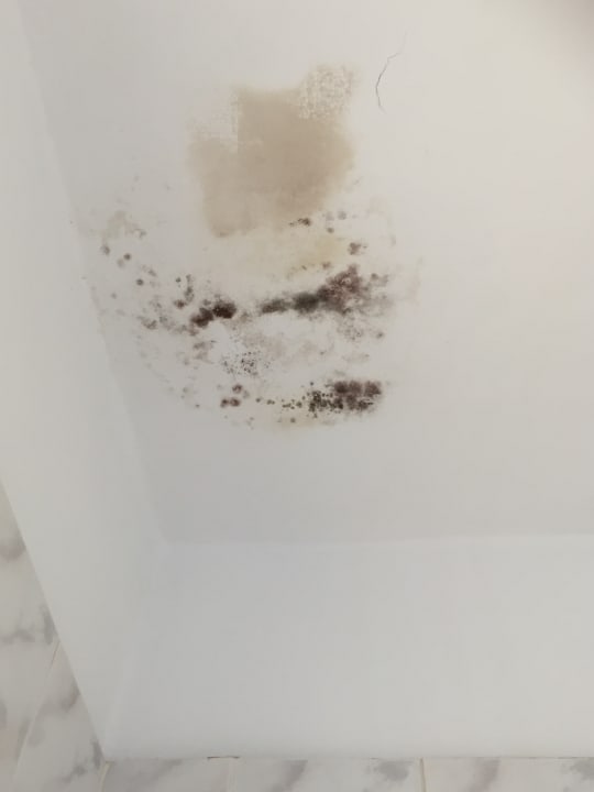 Zimmer Hotel Tanausu