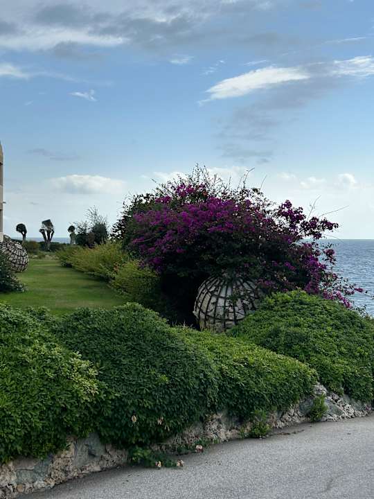 Gartenanlage Hotel Kalithea Horizon Royal