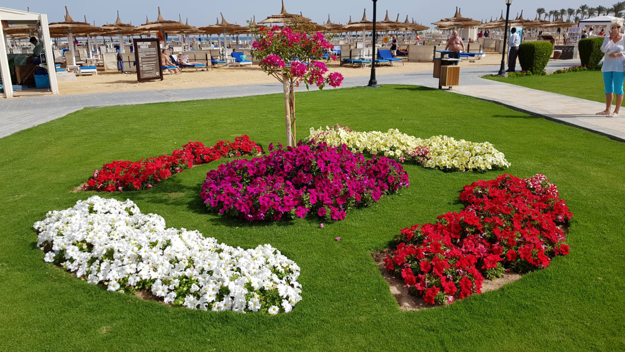 Gartenanlage Pickalbatros Dana Beach Resort - Hurghada