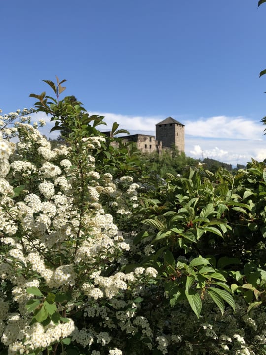 Ausblick Hotel Der Waldhof
