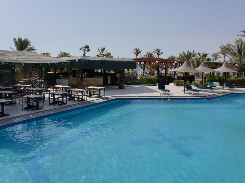 Pool mit Bar Giftun Azur Resort