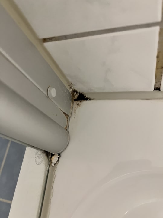 Zimmer gut-Hotel Tannenhof