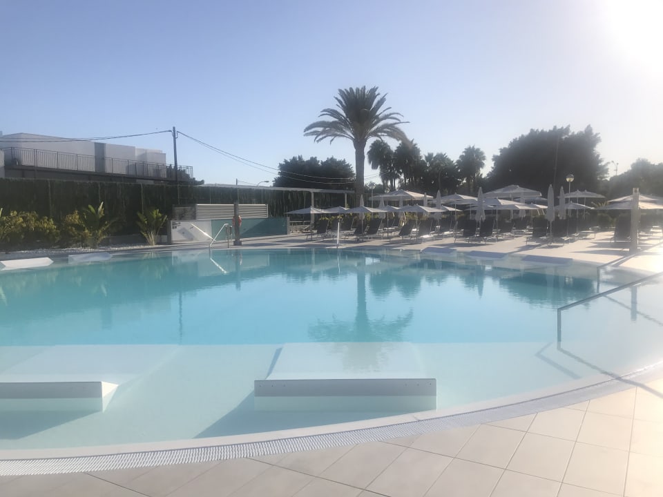 Pool Canary Garden Club