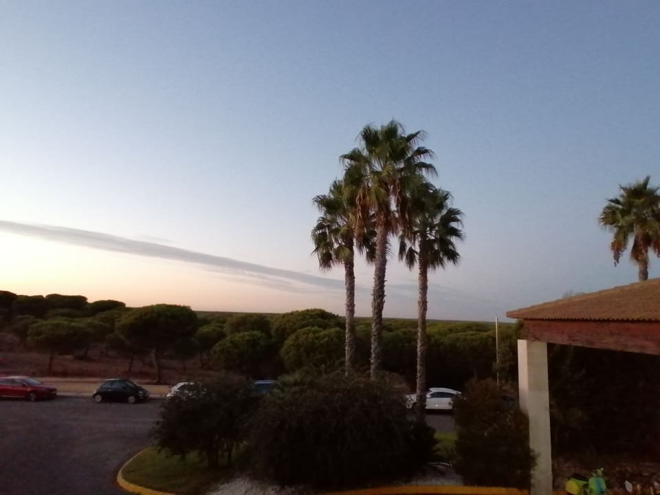 Zimmer Garden Playanatural - Adults only