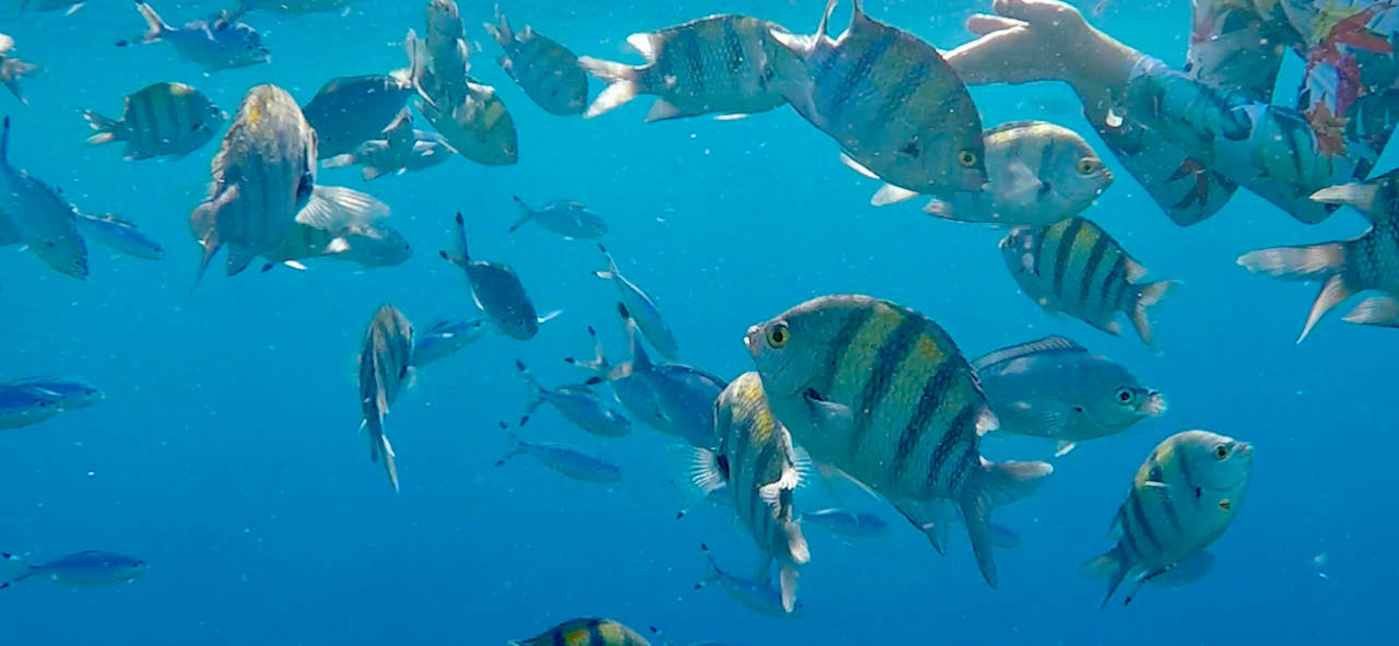 Strand Casa Mare Resort