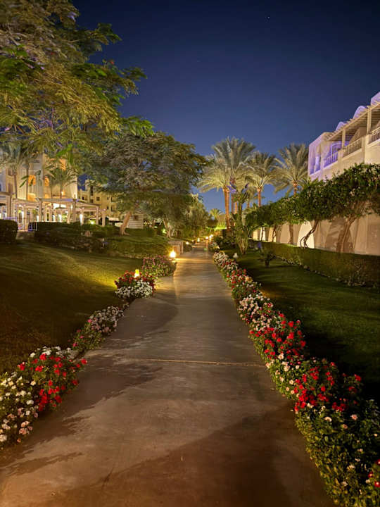 Gartenanlage Hotel JAZ Makadi Star & Spa