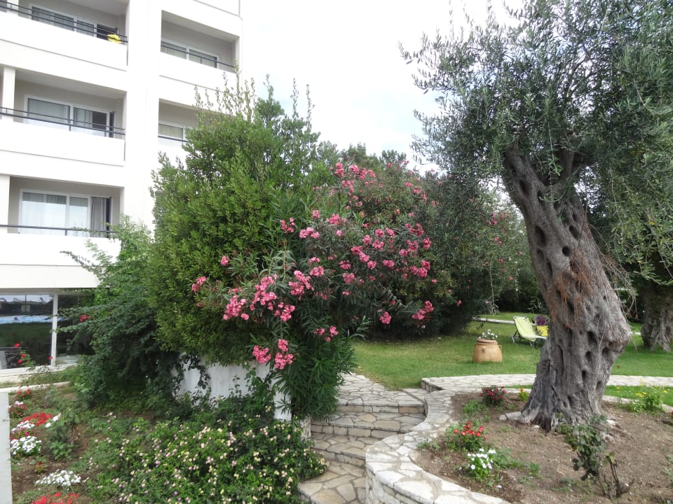 Gartenanlage Elea Beach Hotel