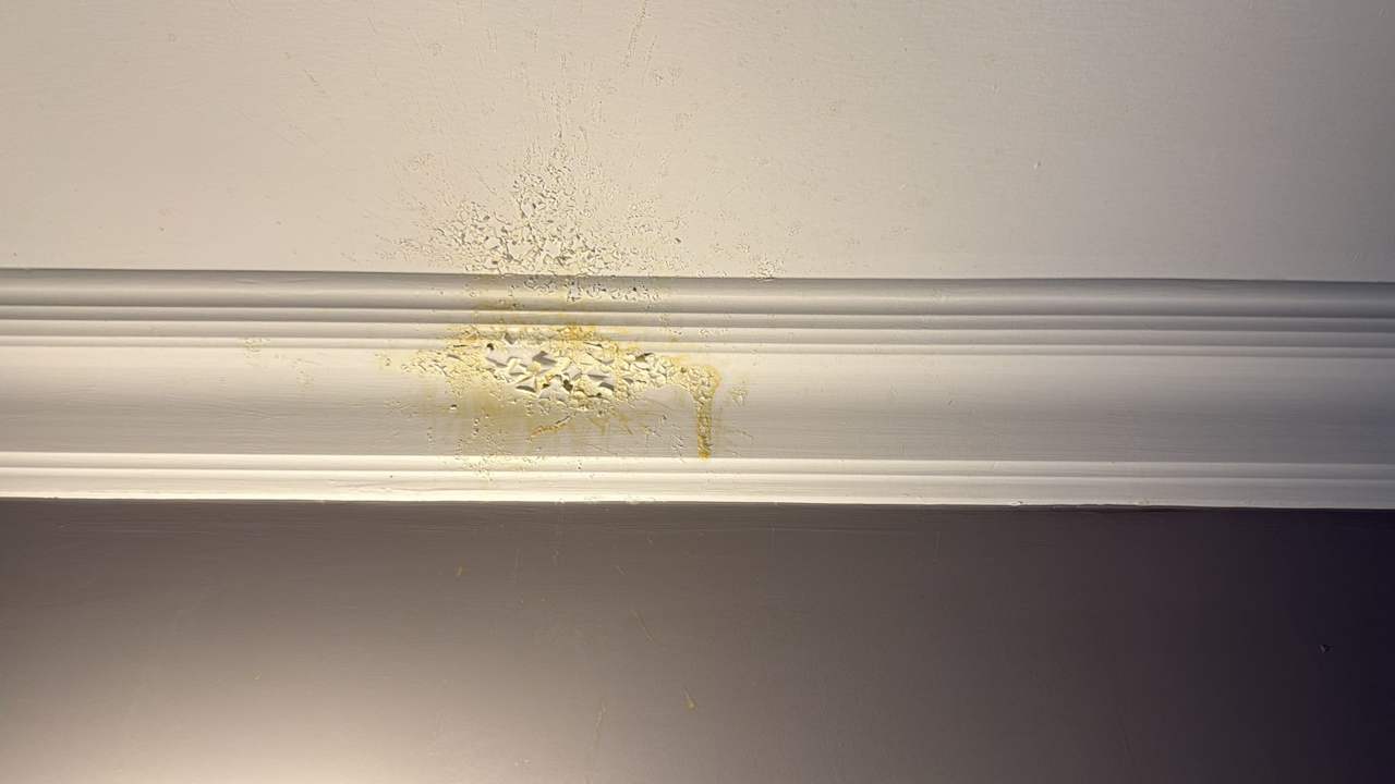 Zimmer Simply Fine Hotel Alize