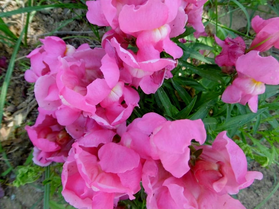 Das sieht doch wohl gut aus. Hotel Paradis Palace