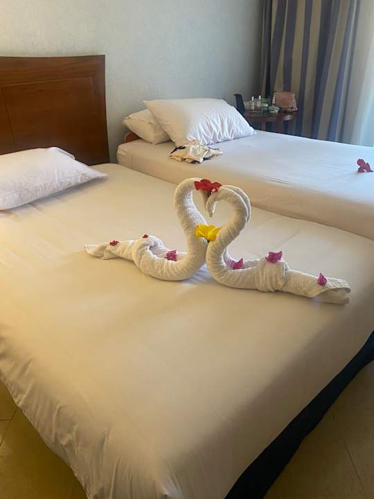 Zimmer Stella Garden Resort & Spa, Makadi Bay