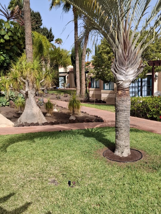 Gartenanlage allsun Hotel Esplendido