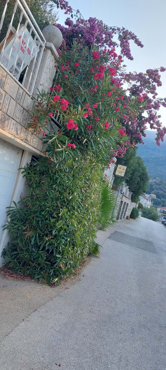 Sonstiges Admiral Grand Hotel