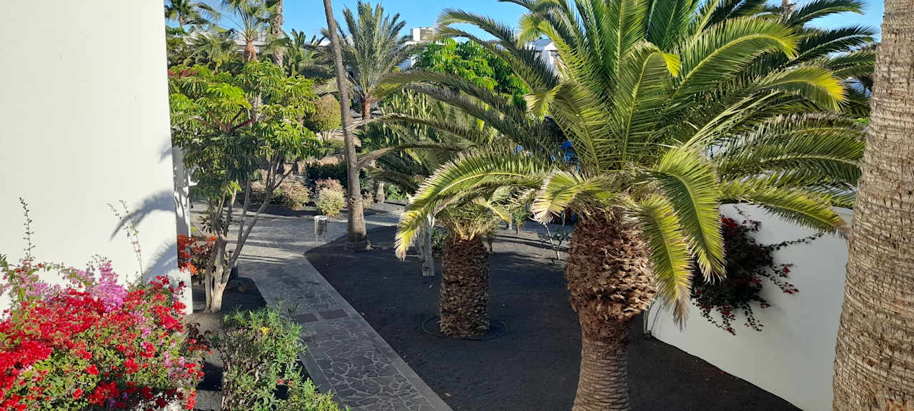 Gartenanlage allsun App.-Hotel Albatros