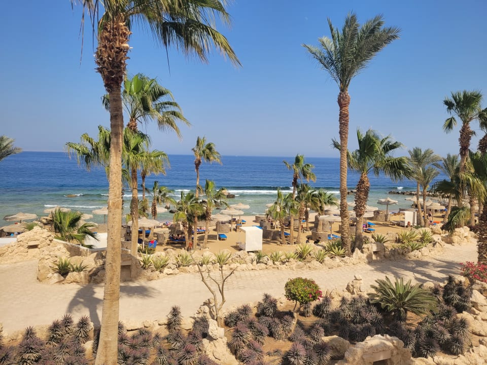 Strand Pickalbatros Citadel Resort