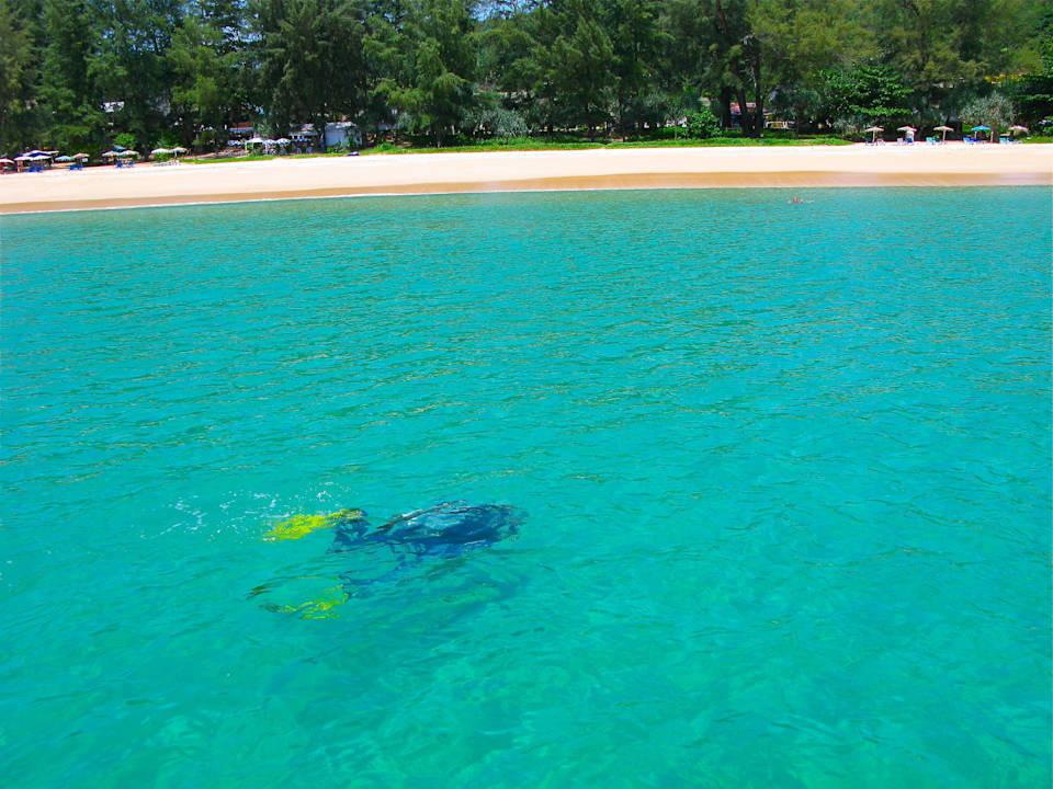 Tauchen mit Aquadivers ihn Naithon Beach Sunshine Gästehaus und Tauchschule