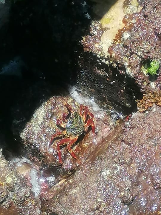 Strand Arabia Azur Resort