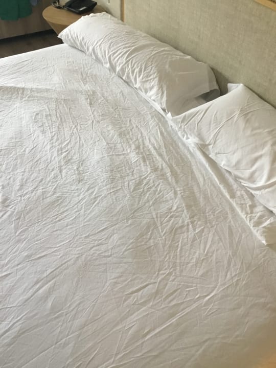 Zimmer Tabaiba Princess