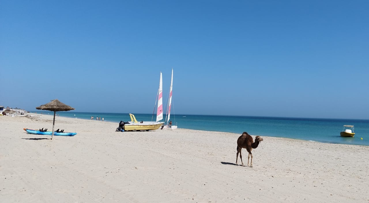 Strand TUI MAGIC LIFE Penelope Beach