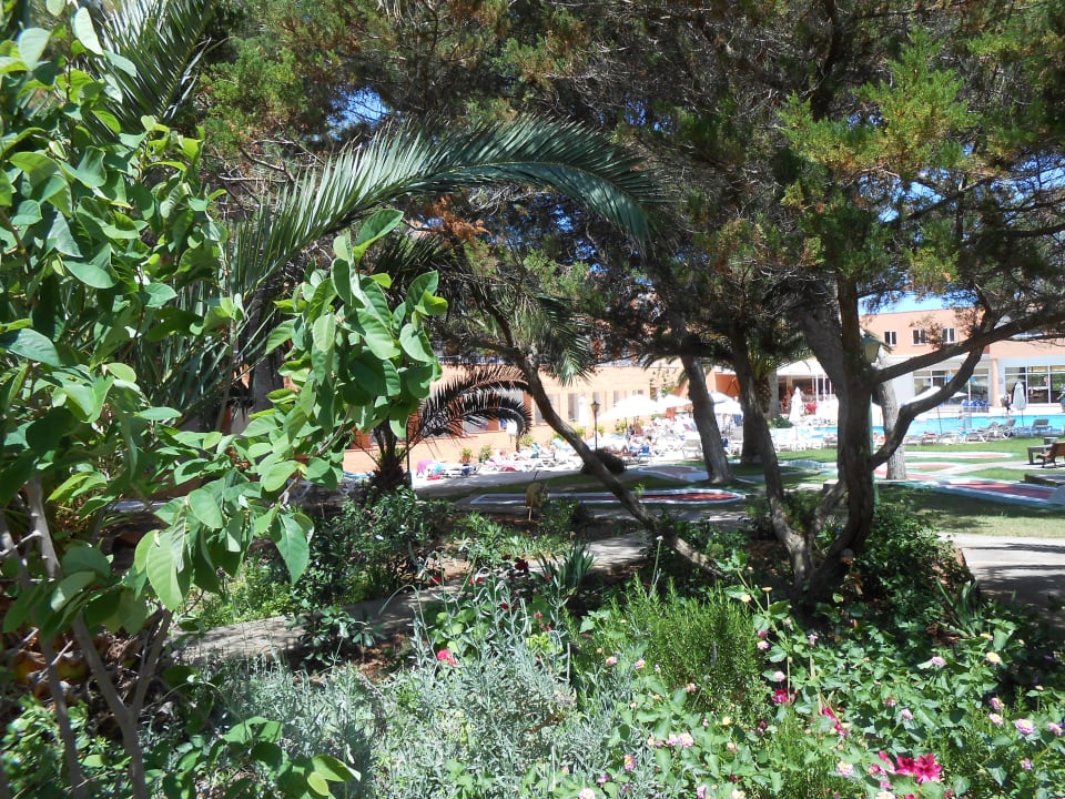 Ausblick in den Garten Hotel Xaloc Playa