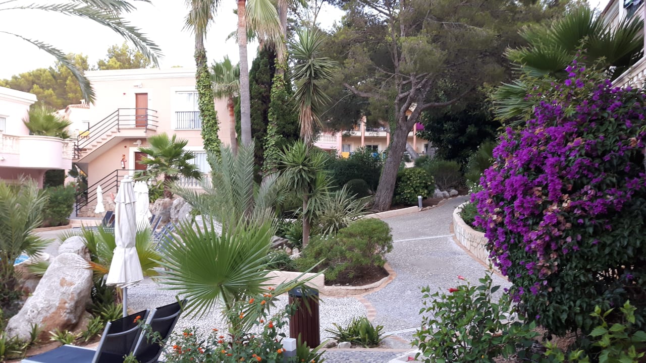 Gartenanlage allsun Hotel Lago Playa Park