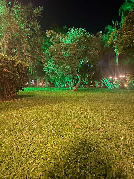 Gartenanlage Saphir Resort & Spa