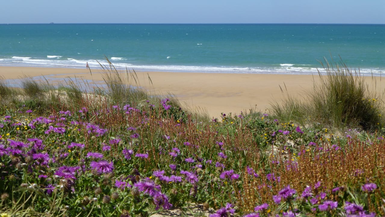 Strand Iberostar Selection Andalucía Playa
