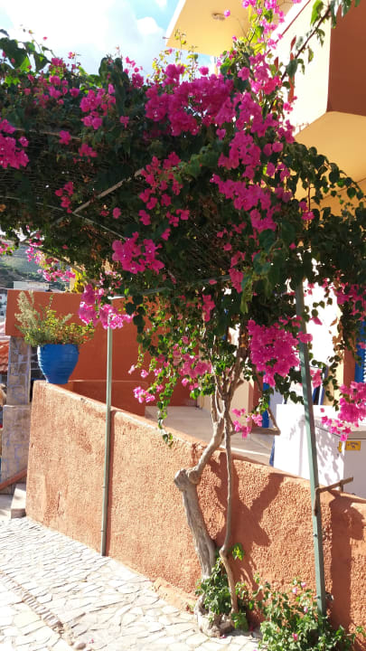 Sonstiges Bali Blue Bay Lifestyle