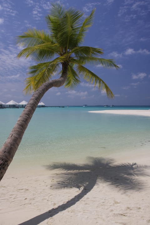 Strand ananea Diamonds Athuruga