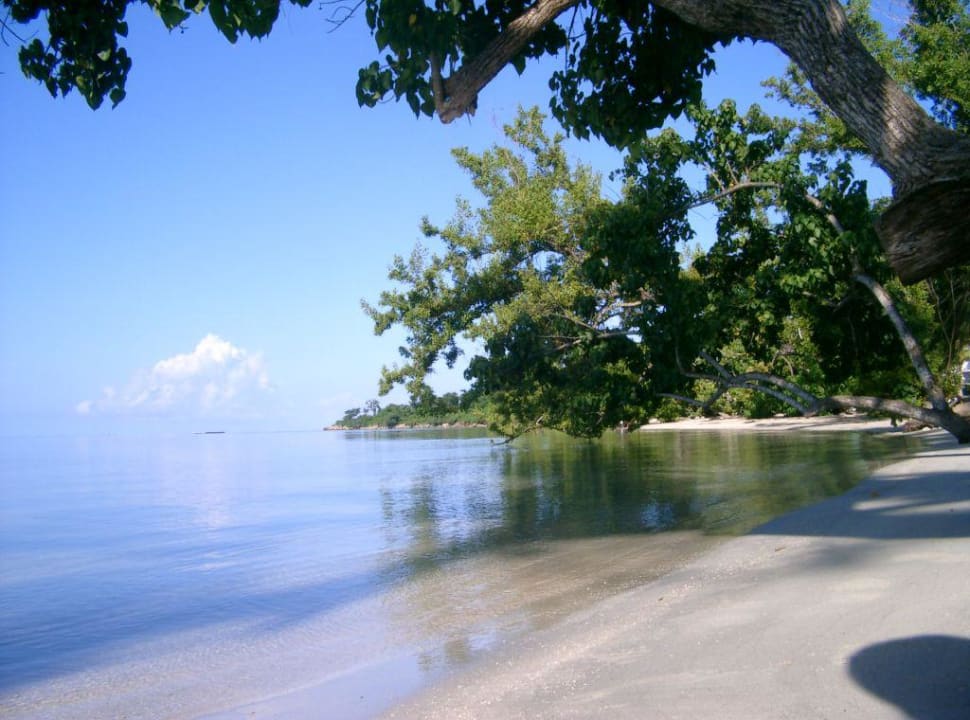 RIU Negril Hotel Riu Negril