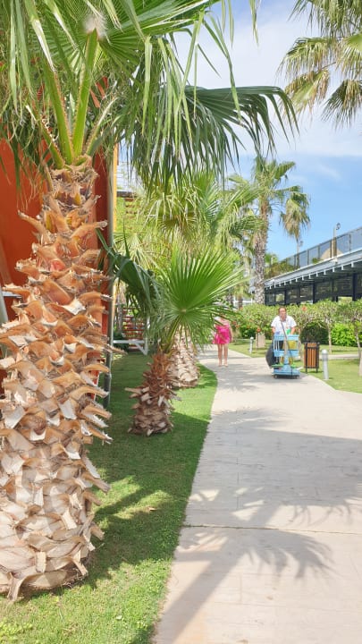 Gartenanlage Saturn Palace Resort Hotel