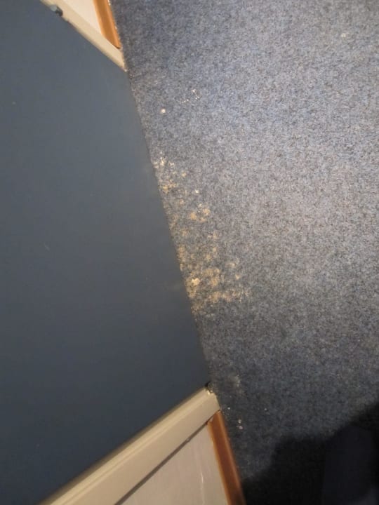 Erde am Teppich im Zimmer Hotel Dependance Park