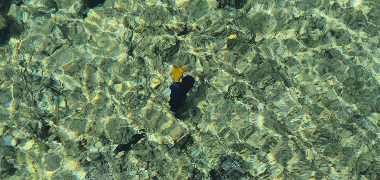 Strand Pickalbatros Palace Resort