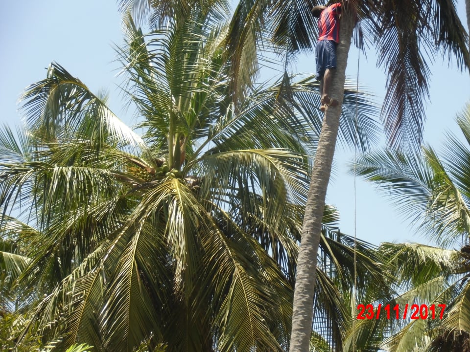 Gartenanlage Bahari Beach Hotel