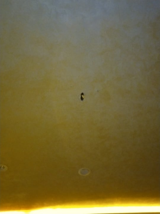 Zimmer The Plaza Bodrum