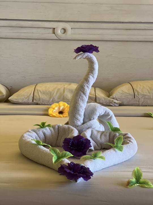 Zimmer Makadi Spa - Adults only