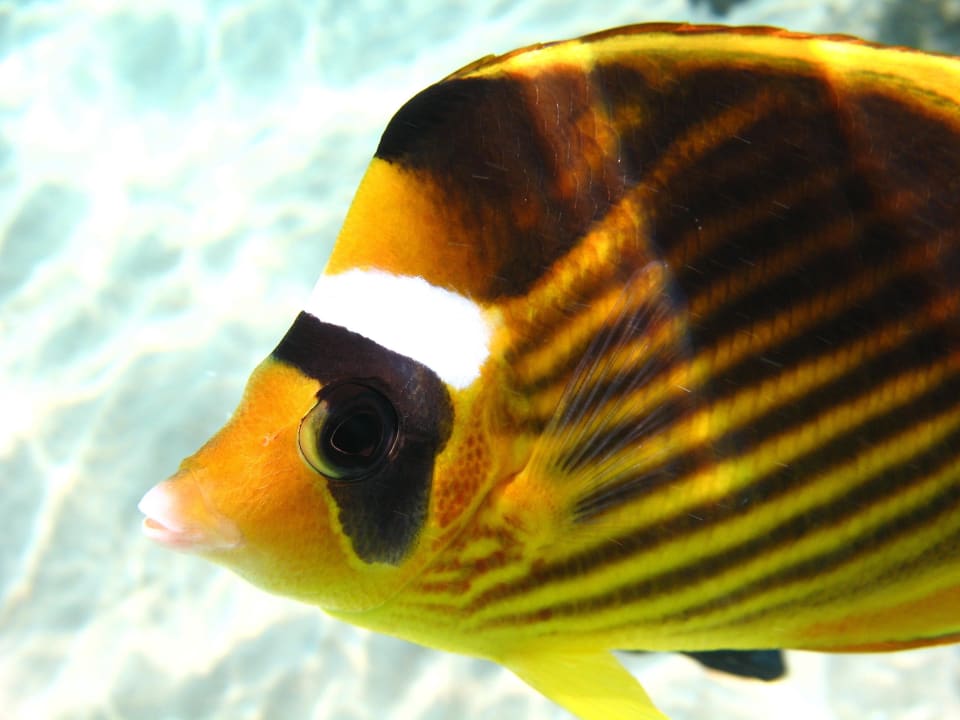 14 Stella Beach Resort & Spa Makadi Bay