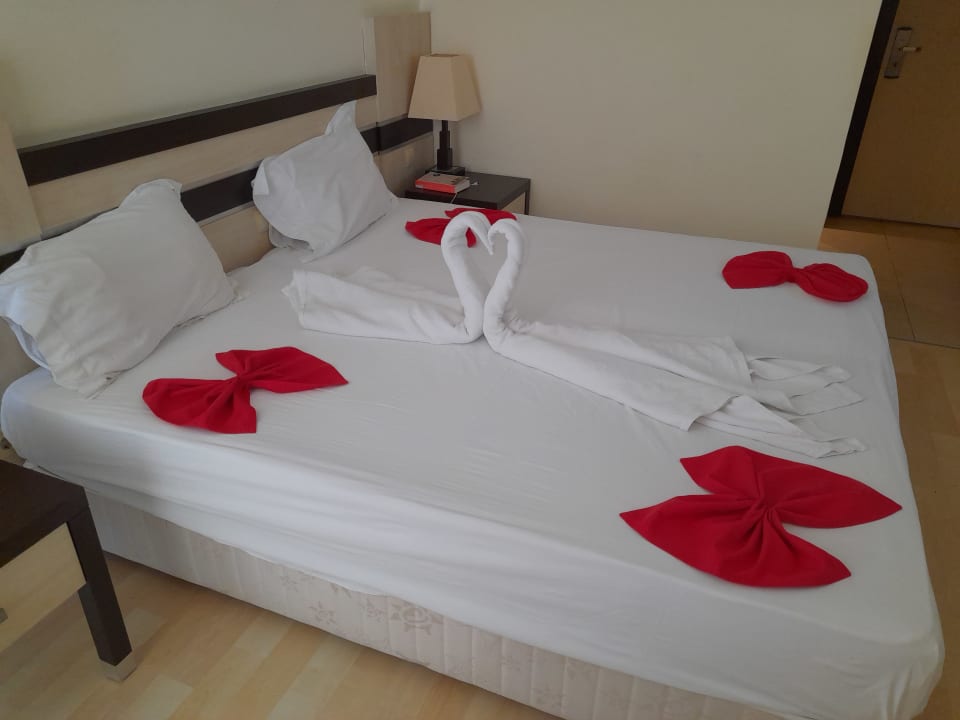 Zimmer Hotel Orfeus Park