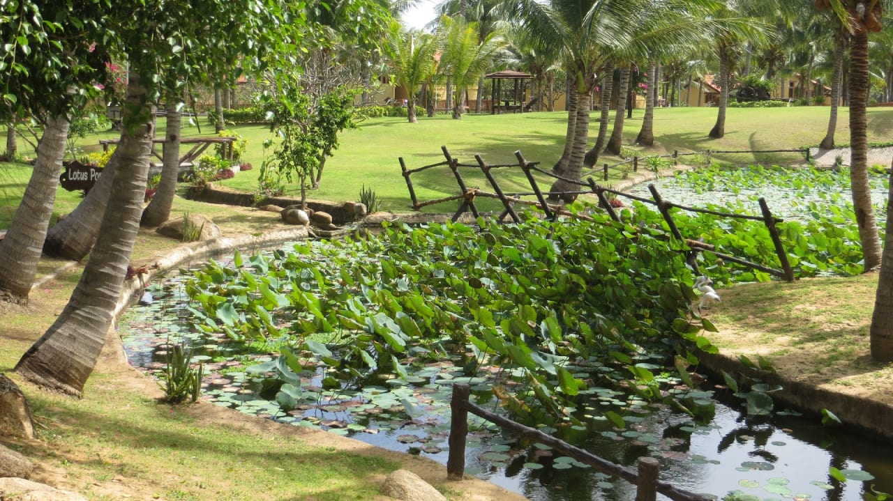 Gartenanlage Pandanus Resort