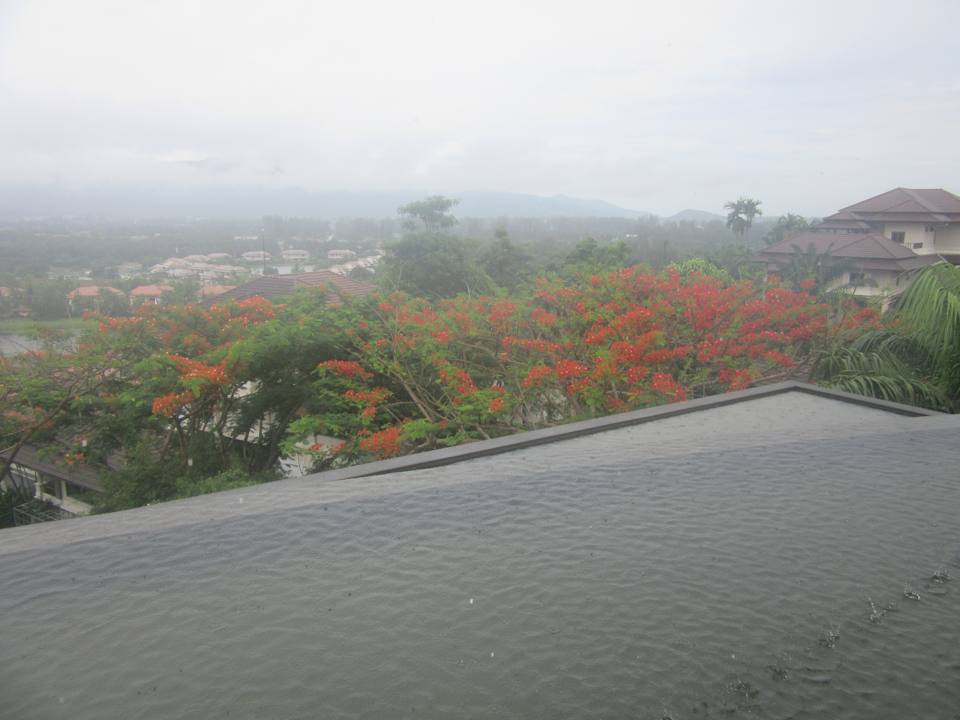 Ausblick  The Pavilions Suites Collection