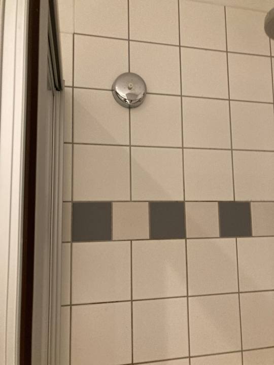 Zimmer Best Western Plaza Hotel Zwickau