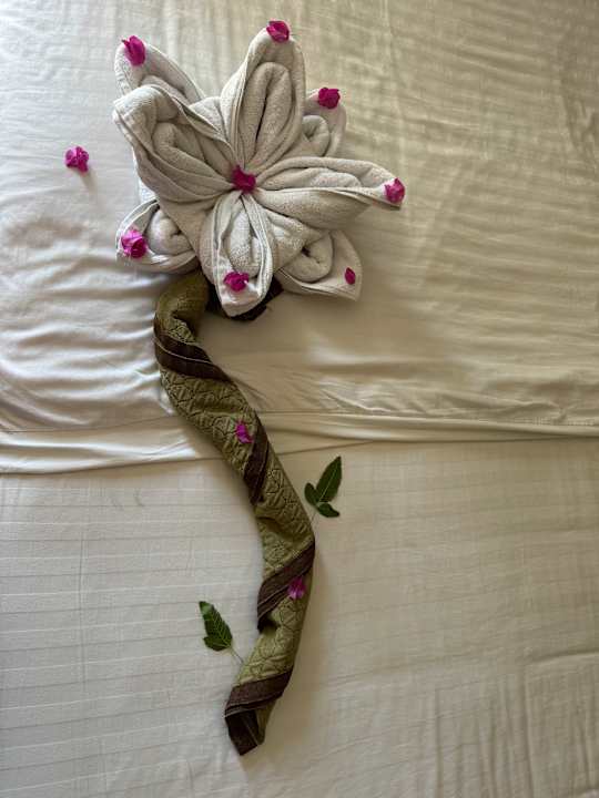 Zimmer Royal Star Beach Resort