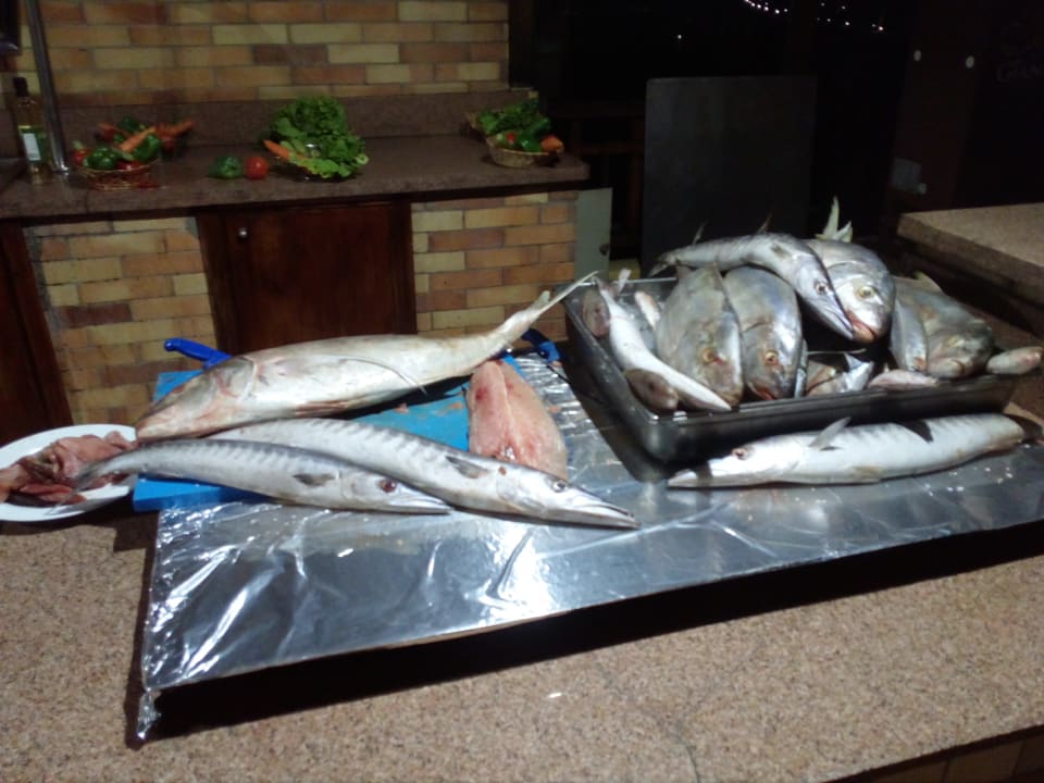 Frischer Fisch für den Grill zum Abendessen Jaz Solaya