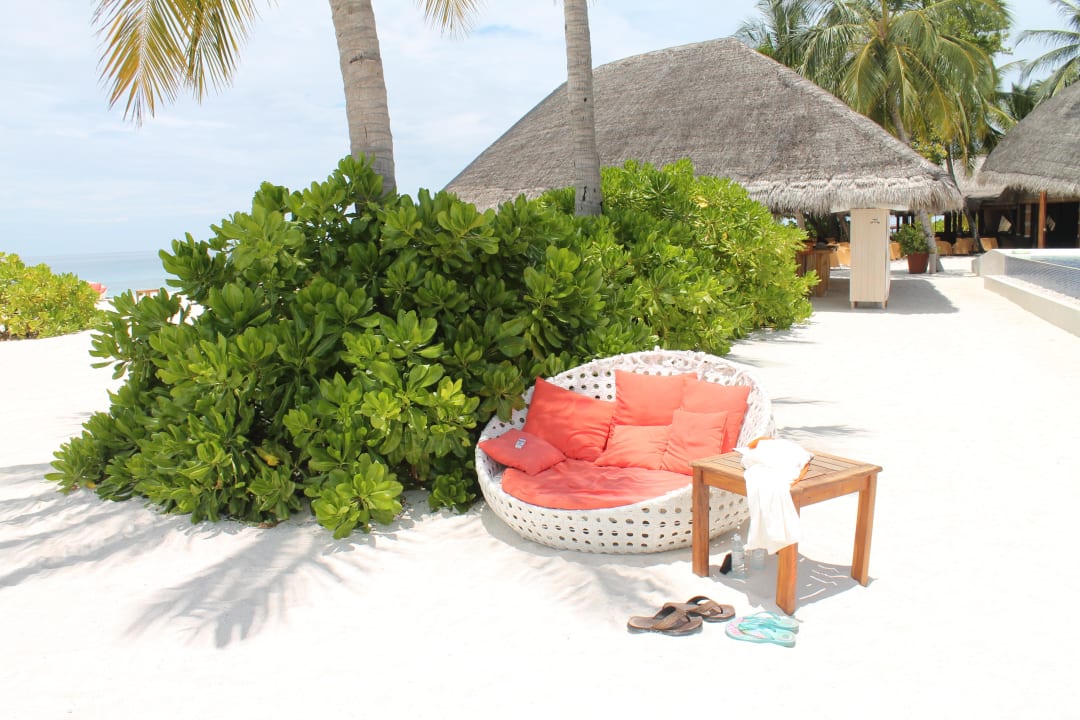 Strandmuschel am Pool Kuramathi Maldives