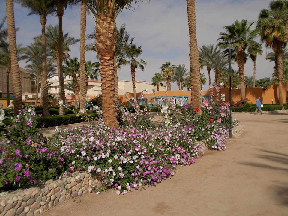 Außenansicht Giftun Azur Resort