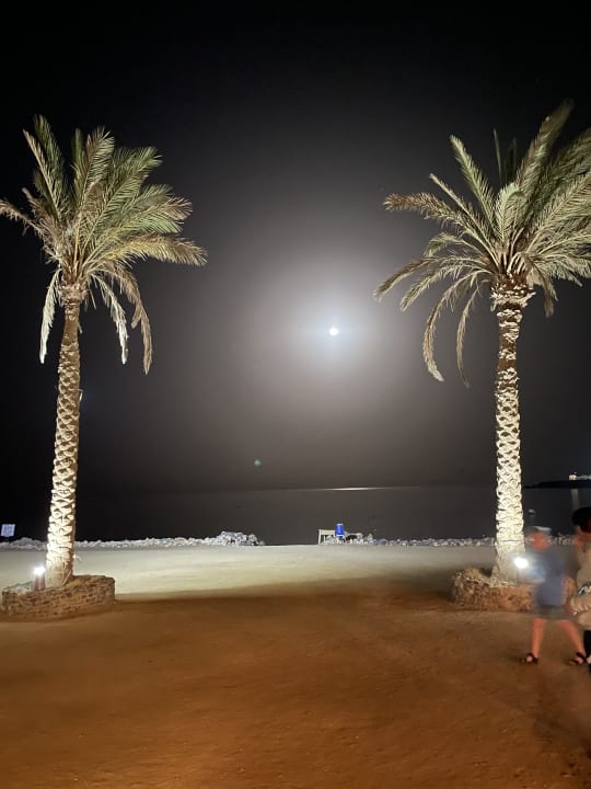 Gartenanlage Hotel Coral Garden